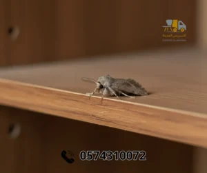 شركة مكافحة العتة بالمدينة المنورة